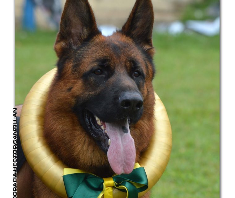 Thor von Ghattas - Campeão Brasileira 2a Categoria 2022